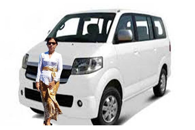 Bali Private Car Hire With Chauffeur - Booking Process and Payment Options