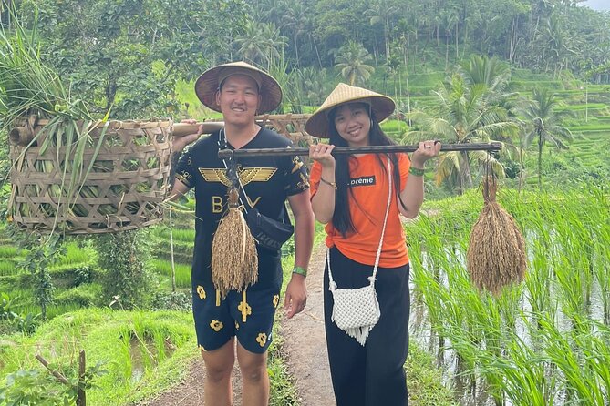 Bali Swing Ubud Hot Spring Waterfall Private Tour Free WiFi - Positive Reviews