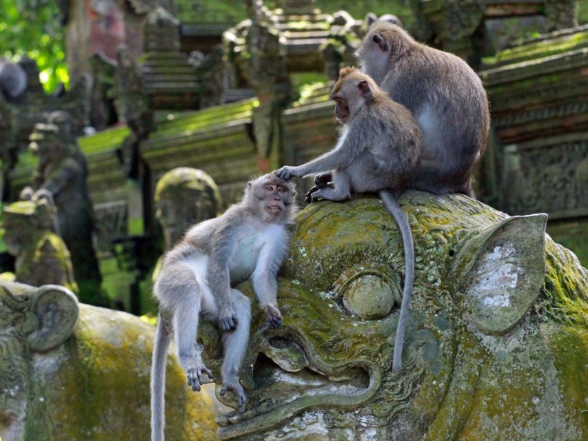 Bali: Ubud Adventure: Rice Terraces, Monkey Forest & Falls - Flexible Booking and Cancellation