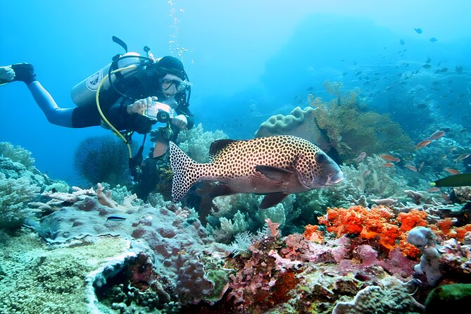 Bali Water Sport Jumbo Packages - Payment and Cancellation Policy