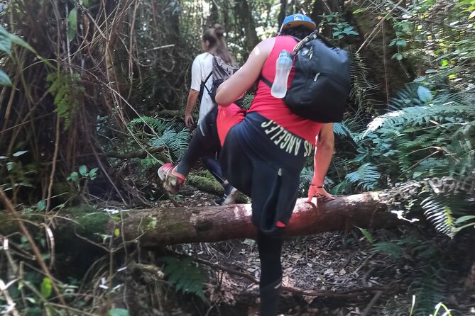 Bandung Volcano, Hot Springs, Mud, Lunch Etc. All Included - Pricing and Cancellation Policy