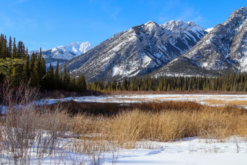 Banff: Historic Cave & Basin Self-Guided Walking Audio Tour - History of Banff National Park