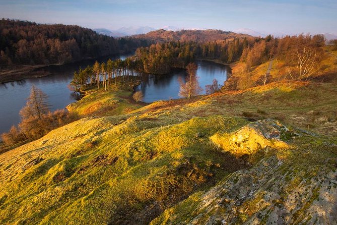 Beatrix Potters Half Day Lake District Tour Including Lake Cruise - Tarn Hows Beauty Spot