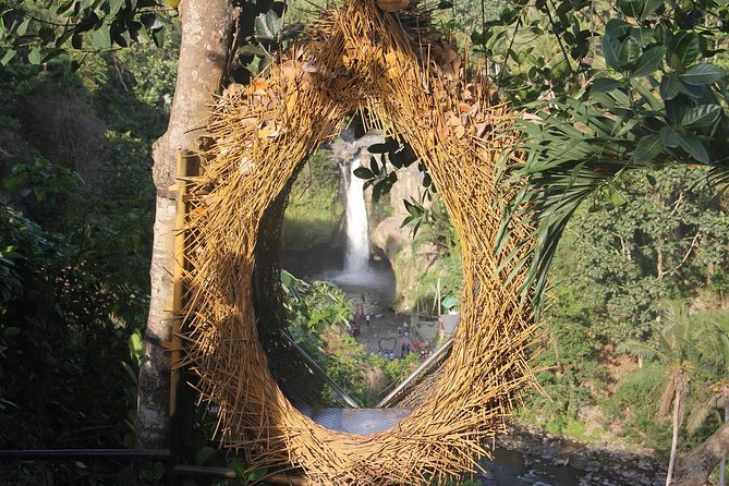 Best of Ubud - Full Day Tour + FREE WI-FI - Tips for an Enjoyable Experience