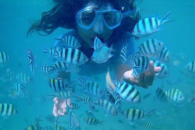 Bintan Snorkeling Tour - Kelong Floating Platform