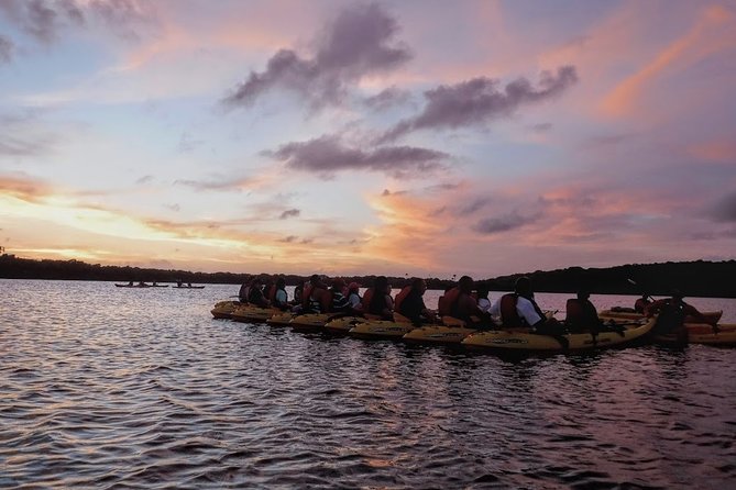 Bio Bay Kayak Tour in Fajardo - Medical Conditions and Accessibility