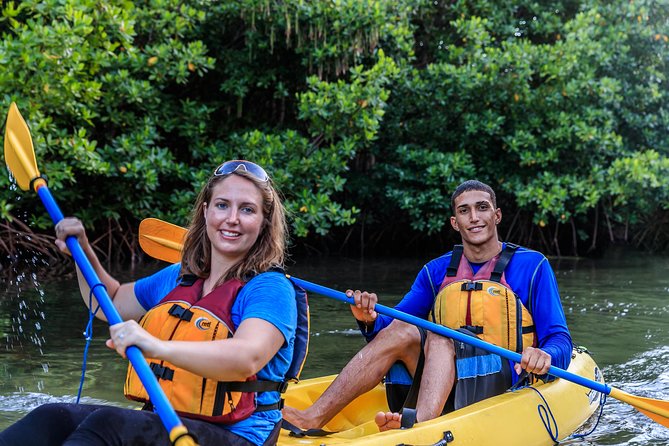Bio Bay Night Kayaking With Transport From San Juan Area - Tips for Optimal Experience