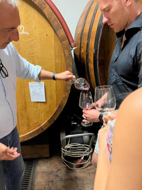 Biodynamic Chianti Wine Experience, a Day in Chianti - Expert Wine Guide Insights