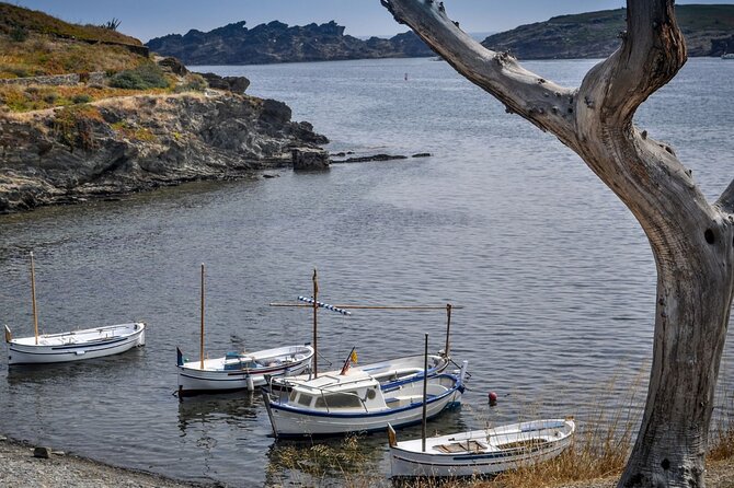 Boat Trip to Cap De Creus + Port Lligat + Cadaqués - Reviews and Additional Information