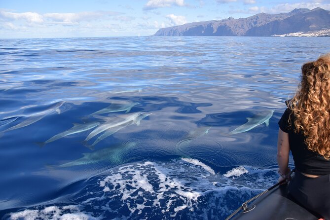 Bonadea II Ecological Whale Watching, 2 Hours - Traveler Suitability Requirements