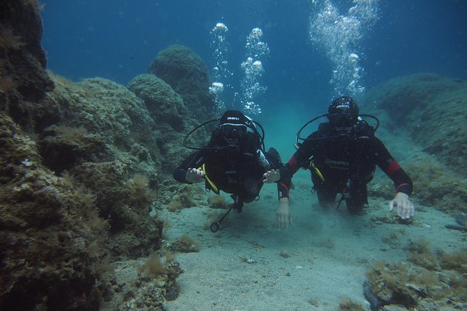 BRELA Bikini Dive *Try SCUBA DIVING* - Accompanied by an Instructor