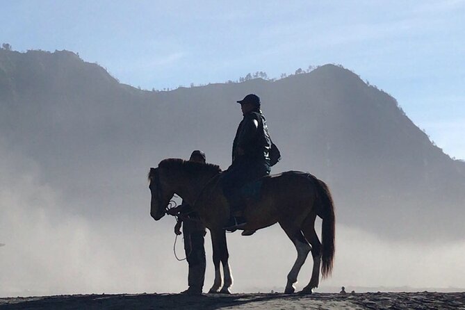 Bromo Sunrise Tour via Tumpang - Start Malang // 1 Day Tour - Booking and Payment Options