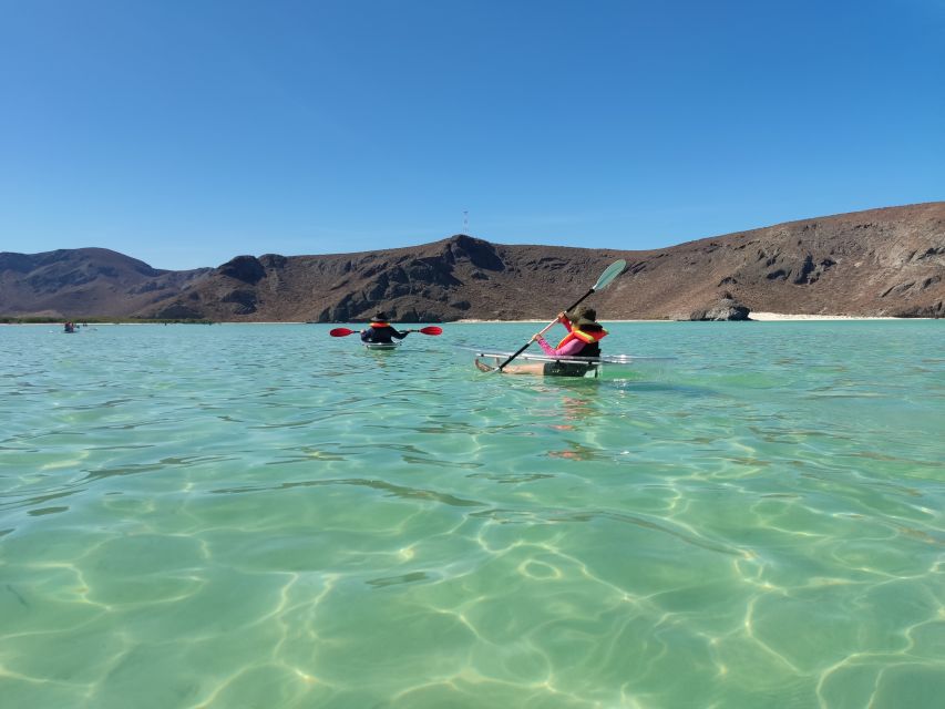 Cabo San Lucas: Balandra Beach and City Tour - Exploring the City of La Paz