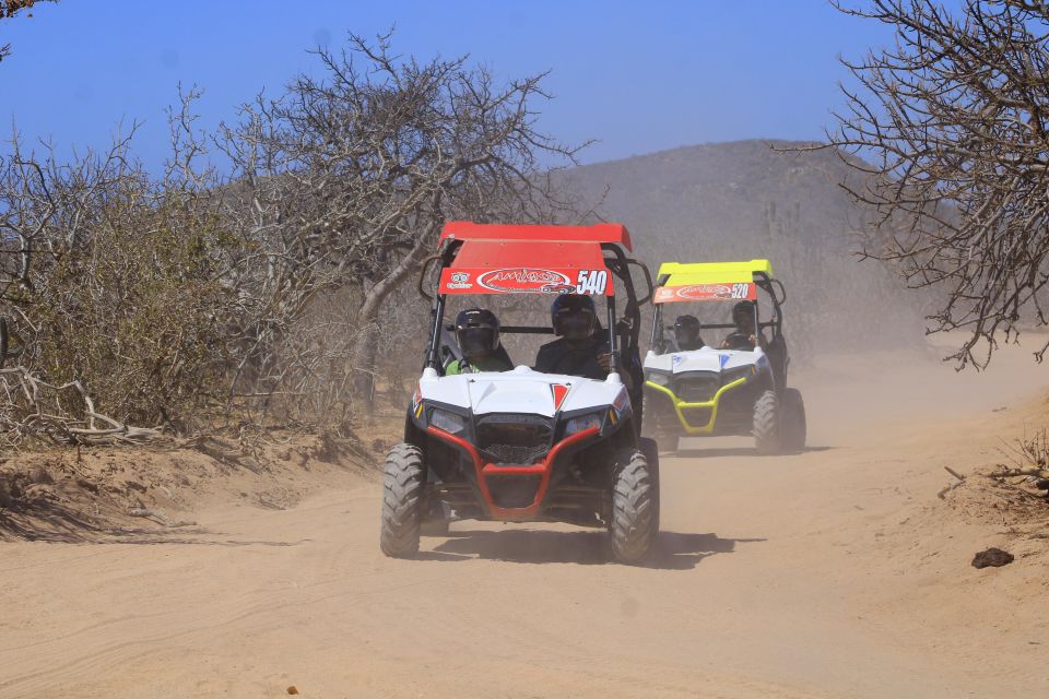 Cabo San Lucas: UTV Beach and Desert Excursion - Pickup and Drop-off Options