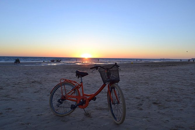Cadiz Small Group Bike Tour - Tour Highlights