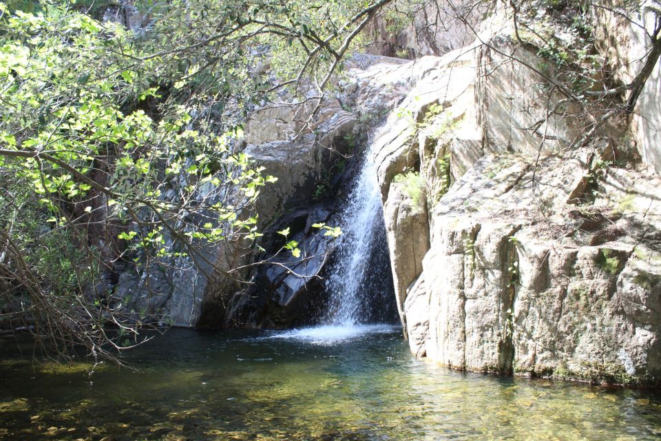 Cagliari: Waterfalls Quad-Atv Adventure From Domus De Maria - Important Information