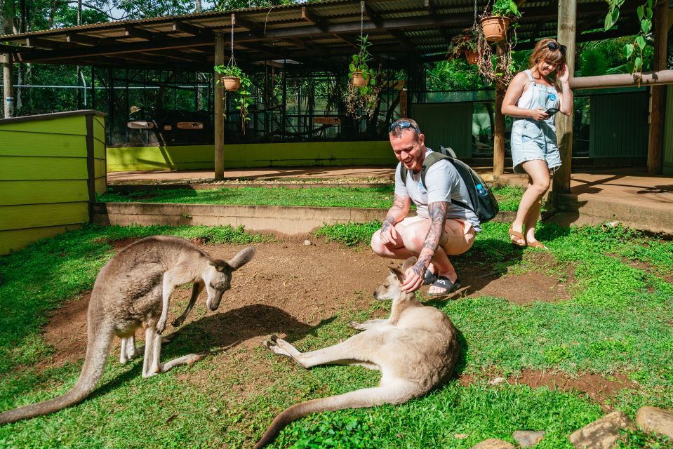 Cairns: Best of the Kuranda Rainforest Full-Day Tour & Lunch - Recap