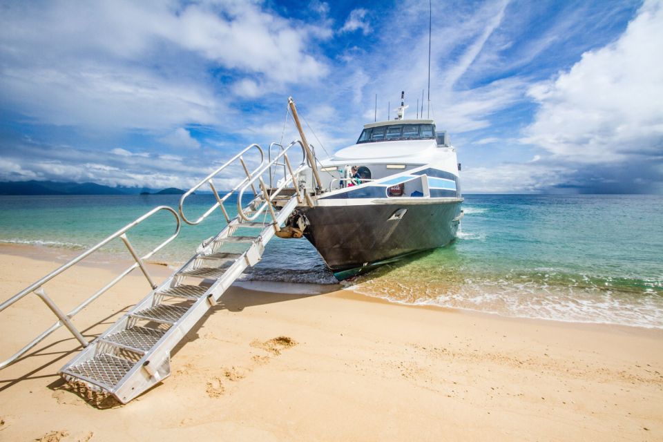 Cairns: Snorkel & Dive a Secluded Great Barrier Reef Island - Enjoy Guided Island Walk