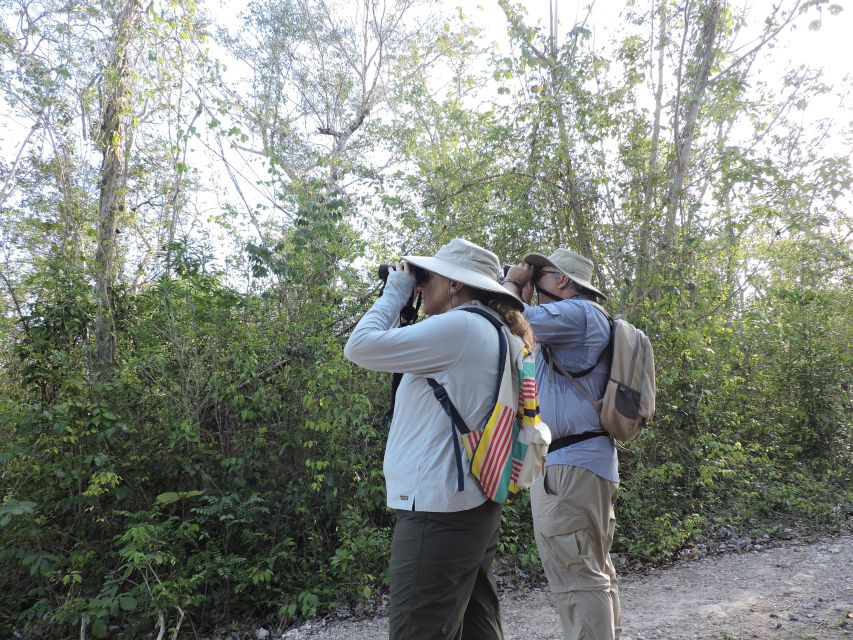 Cancún: Guided Birdwatching Hike - Expert Guide Expertise