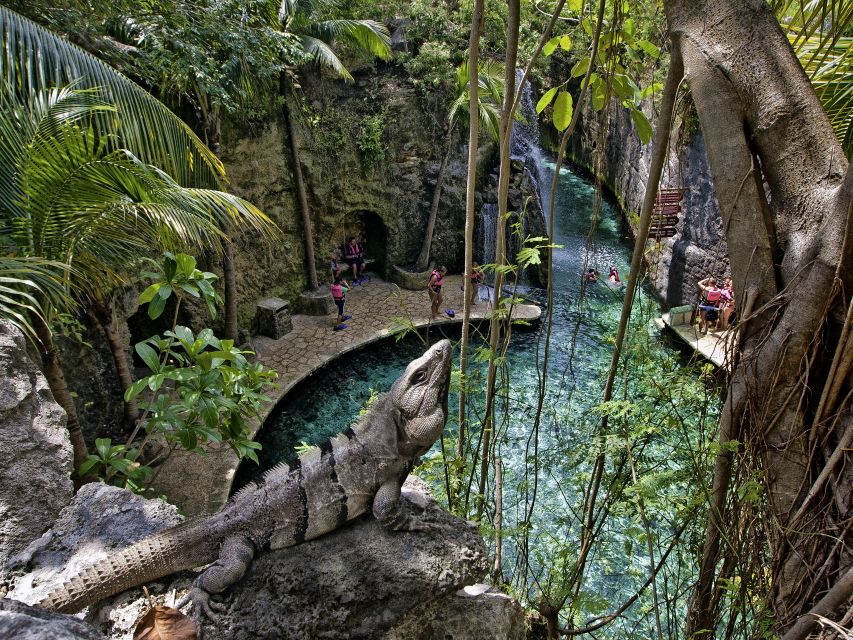 Cancun & Riviera Maya: Xcaret & Xplor Parks With Transport - Pickup, Drop-off, and Accessibility