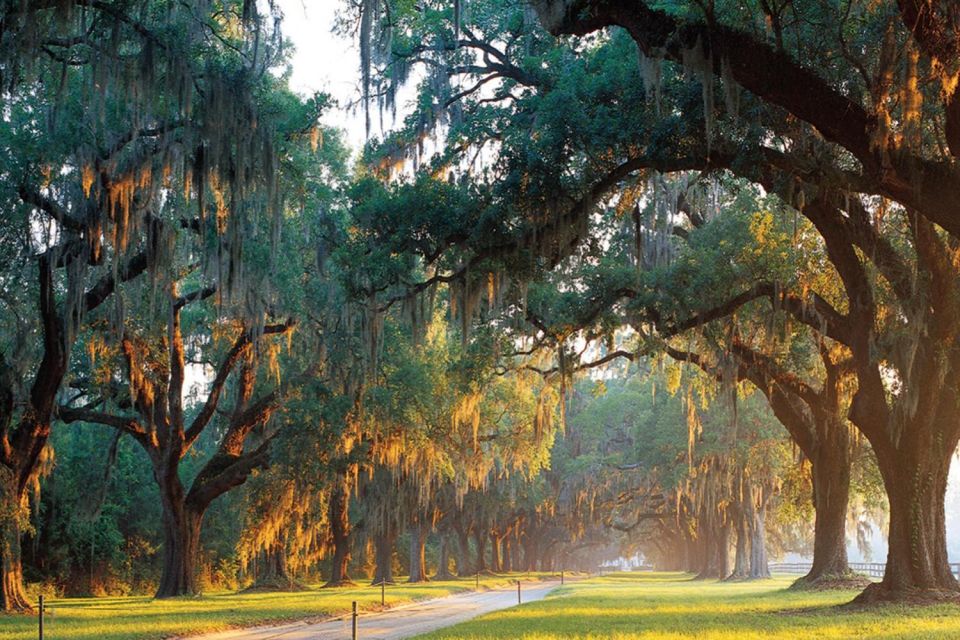 Charleston: Boone Hall & Historic City Tour Combo - Guided Tour Experiences