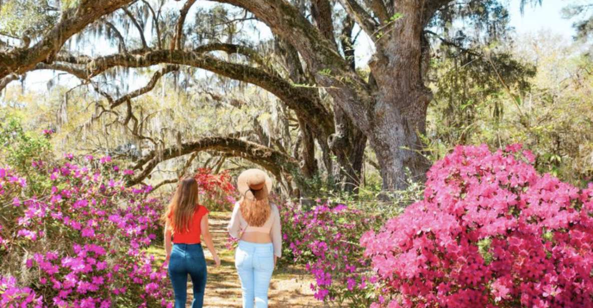 Charleston: Historic City Tour & Magnolia Plantation Combo - Tour Inclusions