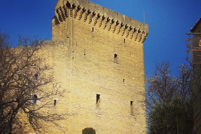 Chateauneuf-Du-Pape Prestige Wine Tour From Avignon - Cancellation and Refund Policy