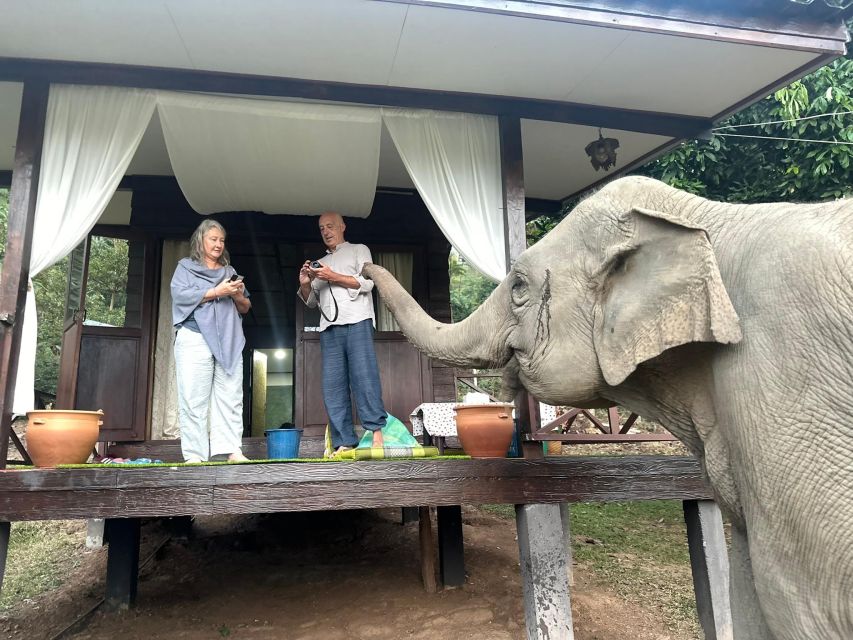 Chiang Mai: 2-Day Good Morning Elephant & Overnight Homestay - Restrictions and Suitability