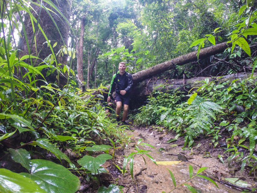 Chiang Mai: 7-Hour Doi Suthep National Park Summit Hiking - Lunch at Wat Phra That Doi Suthep