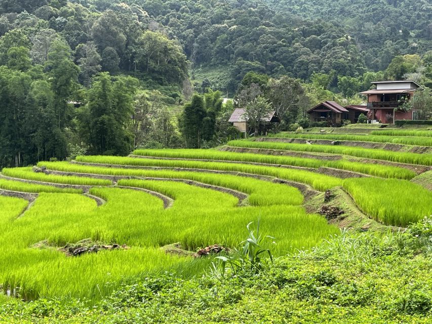 Chiang Mai: Doi Inthanon and Elephant Sanctuary Tour - Interacting With Elephants