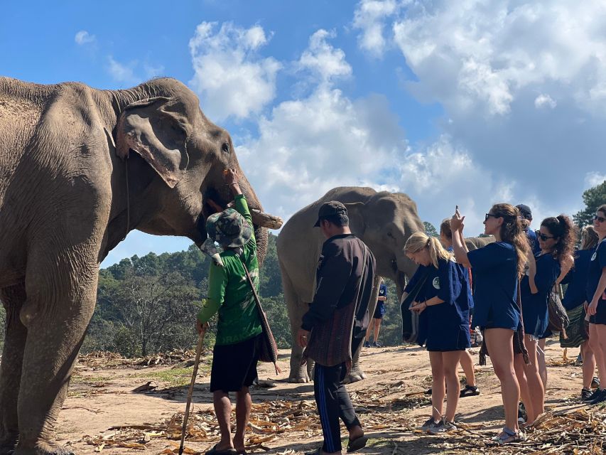 Chiang Mai :Doi Inthanon Explore &Ethical Elephant Sanctuary - Inthanon Hill Tribe Market