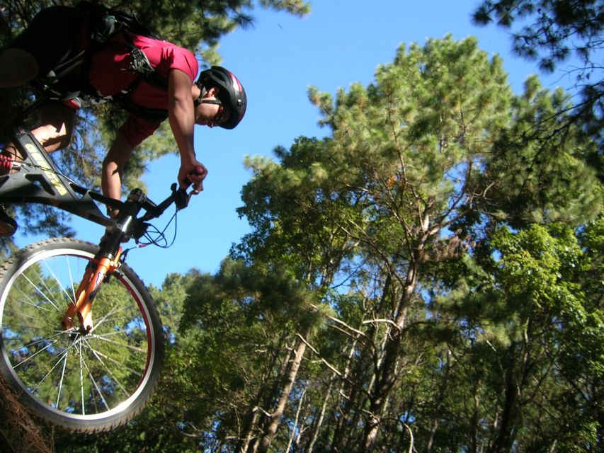 Chiang Mai: Doi Suthep National Park Leisure Hiking & Biking - Visiting Wat Phra That Doi Suthep