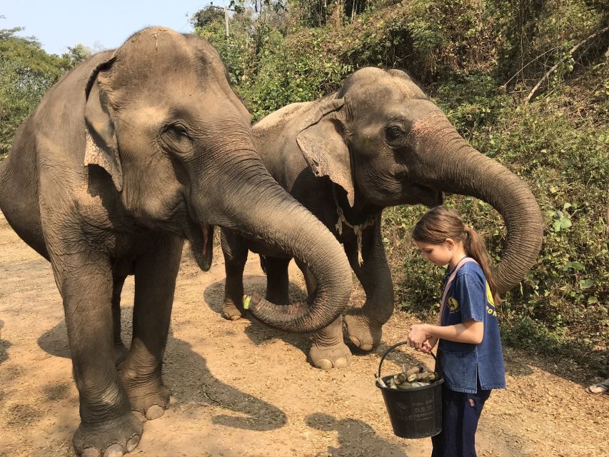 Chiang Mai: Elephant Sanctuary and Sticky Waterfall Tour - Personal Expenses