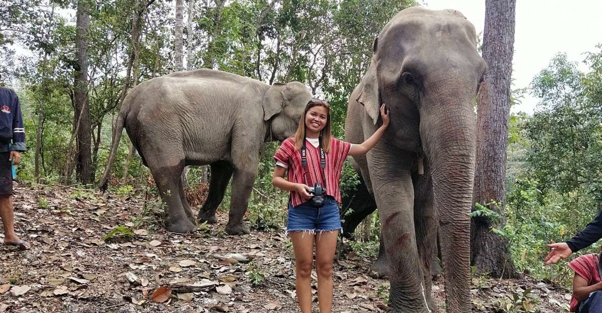 Chiang Mai: Elephant Sanctuary & Waterfall Group Tour - Tour Inclusions and Restrictions