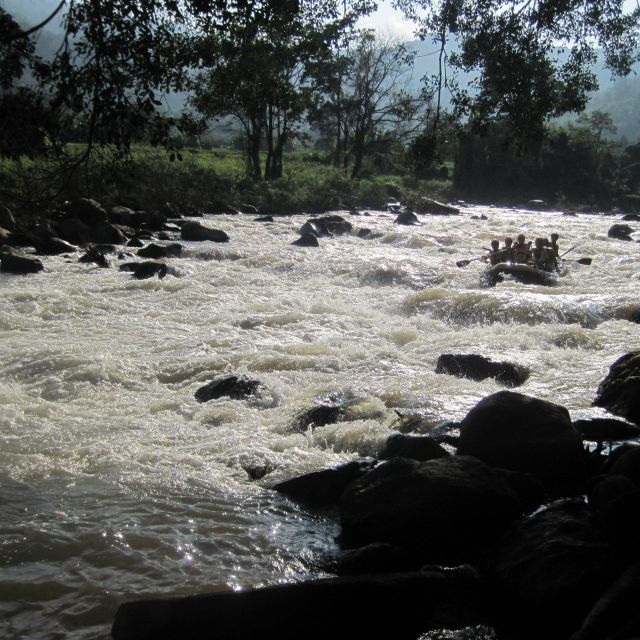 Chiang Mai: Explore Forests to Waterfalls and Water Rafting - Inclusions