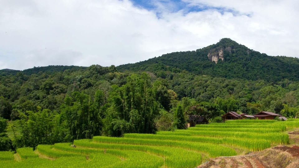 Chiang Mai: Pha Dok Siew Nature Trail & Doi Inthanon Trip - Exploring Cultural Attractions