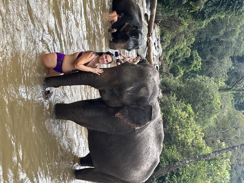 Chiang Mai: Waterfall, Elephant Sanctuary, and Rafting Tour - Inclusions and Exclusions