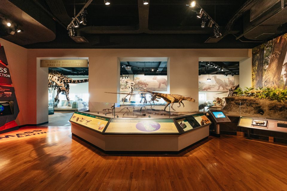 Chicago: Field Museum of Natural History Ticket or VIP Tour - Ticket Options and Pricing