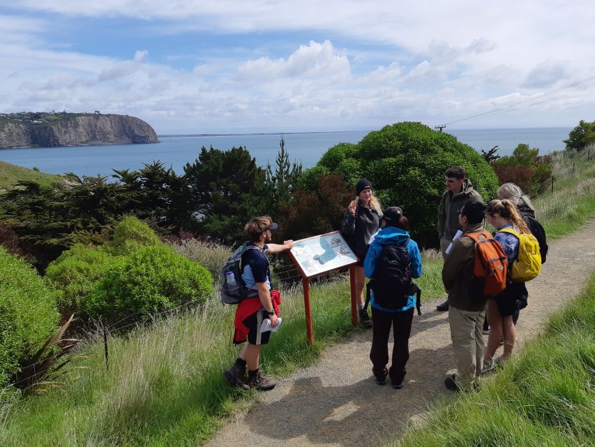 Christchurch: Godley Head & Lyttelton Guided Walking Tour - Transportation