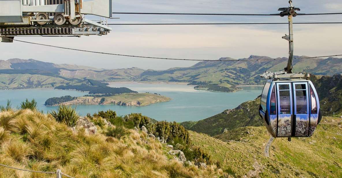 Christchurch: Gondola Ride - Souvenir Shop and Café