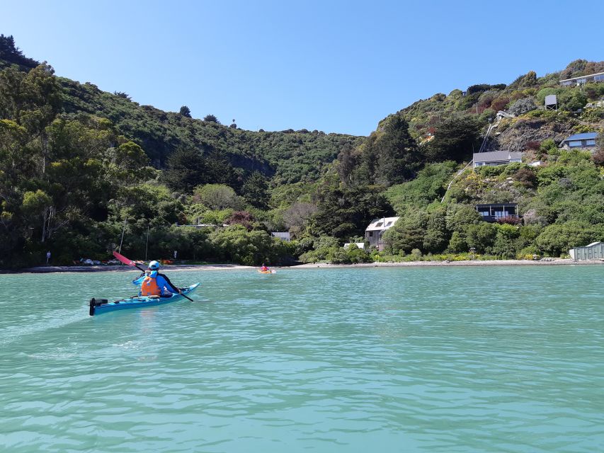 Christchurch: Sea Kayaking Tour of Lyttelton Harbour - Safety and Paddle Instructions