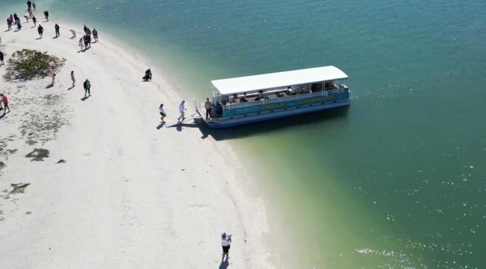 Clearwater Beach: Dolphin and Island Sandbar Boat Tour - Dolphin Watching Opportunity