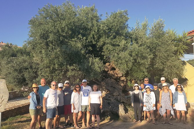 Crete Wine and Olive Oil Tour - Experience Highlights