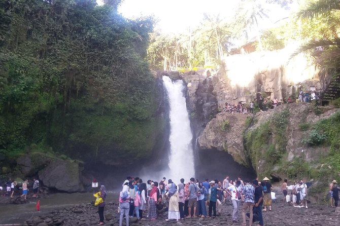 Cretya Ubud + Taman Dedari + Sari Timbul Glass Factory Tour. - Operator Information