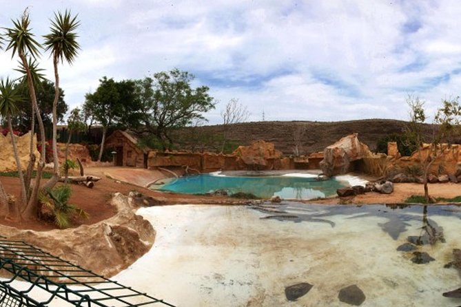 Crocodile Park Zoo Admission Ticket in Agüimes - Booking and Availability