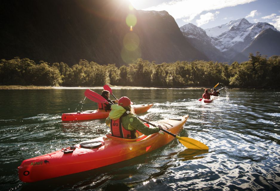 Cruise & Kayak Milford Sound - Visit to Milford Sound Underwater Observatory