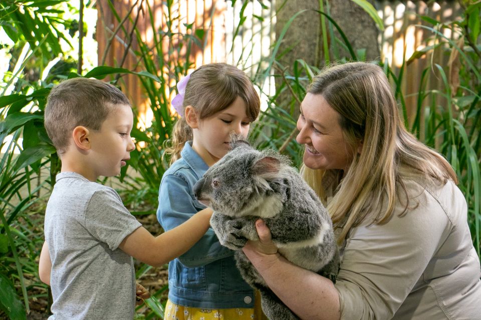 Currumbin Wildlife Sanctuary Ticket & Koala Photo - Directions and Onsite Facilities