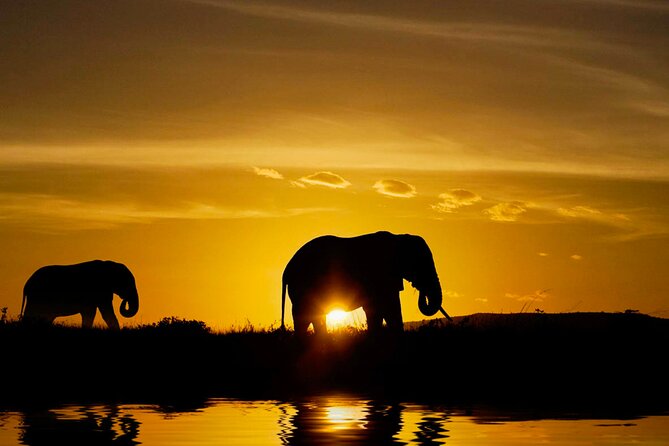 Day Tour to Minneriya National Park,Sigiriya & Dambulla From Kandy - Game Drive at Minneriya National Park