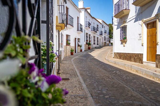 Day Trip to Zahara, Setenil and Ronda From Seville - Guided Tour Experiences