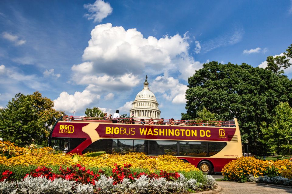 DC: Hop-On Hop-Off Sightseeing Tour by Open-top Bus - Potomac River Cruise